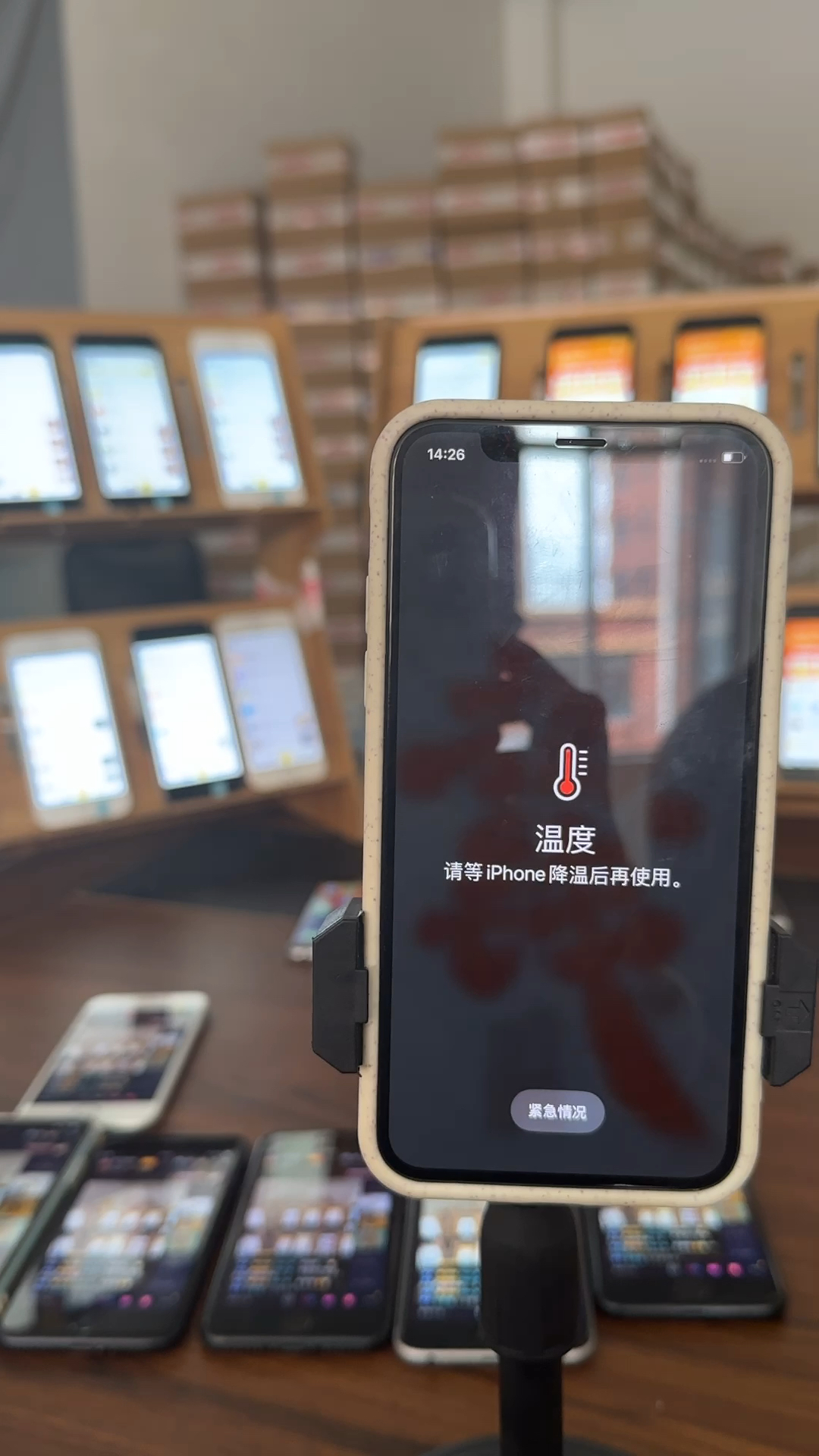 苹果最新直播，科技与文化的完美融合盛宴