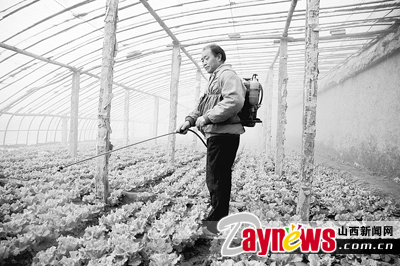 最新农药抽检结果出炉，守护农田安全，你我他的共同责任