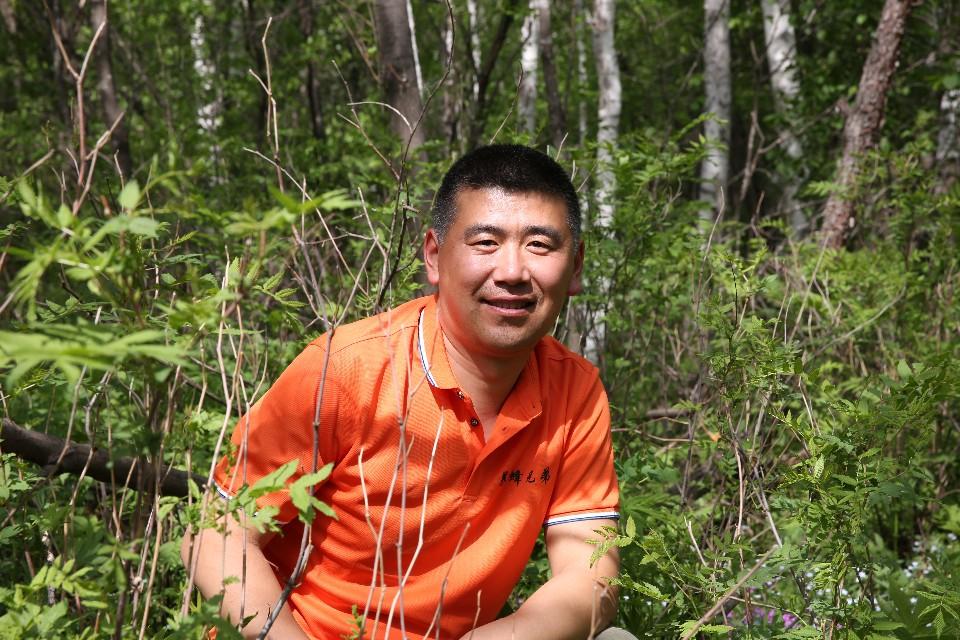 最新专利纱窗，打造安全舒适的居住环境新选择