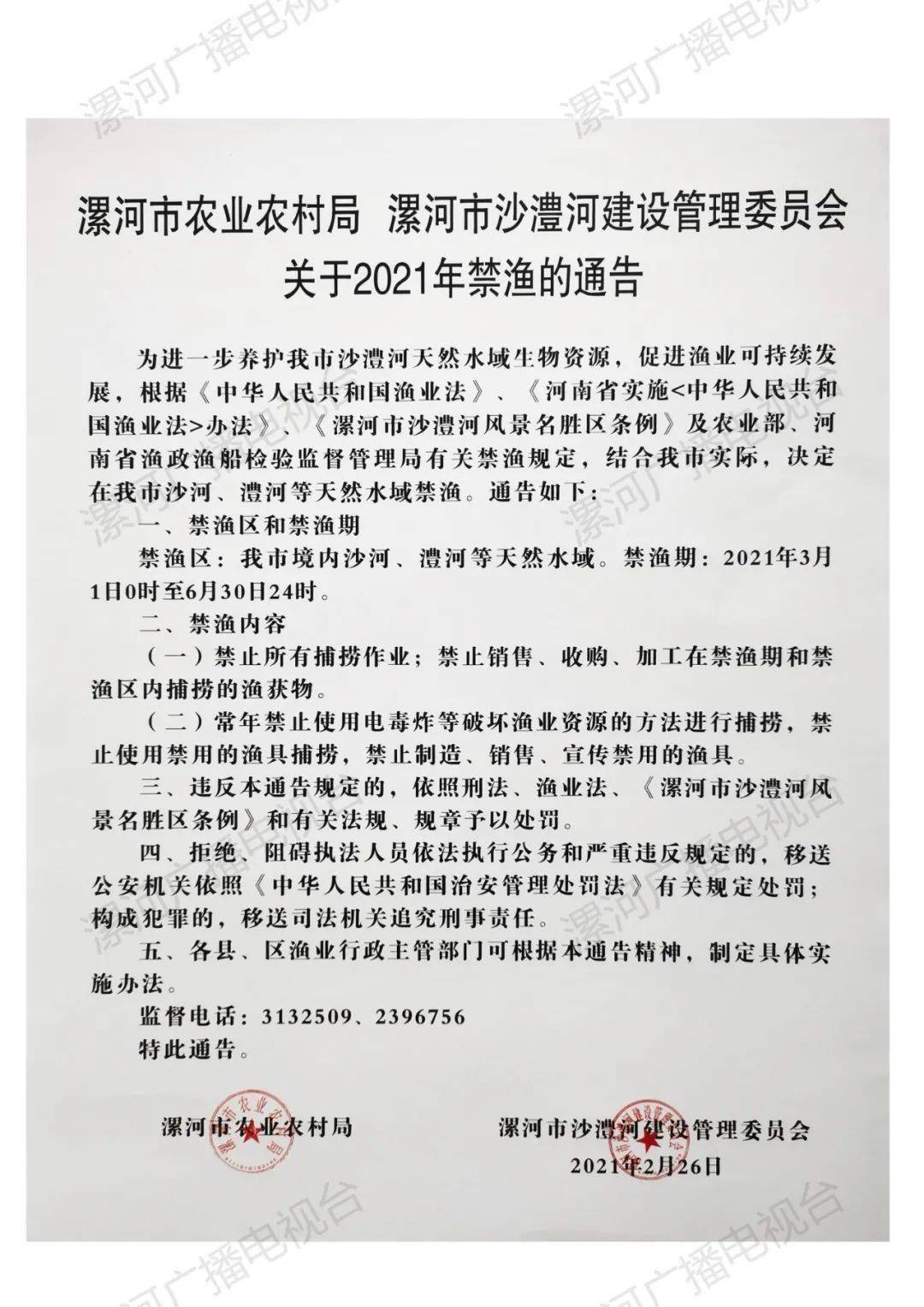 漯河最新通告，探索自然美景，寻觅内心宁静与平和之旅