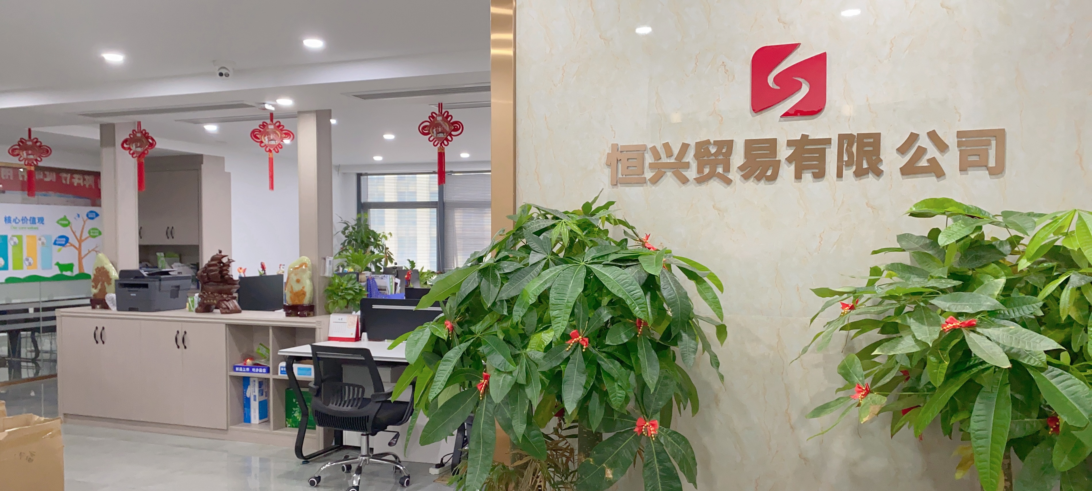 最新商贸有限公司,小巷中的宝藏天堂,探索未知的独特小店