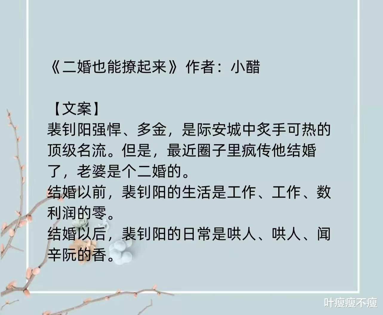 最新二婚小说，小巷深处的浪漫故事