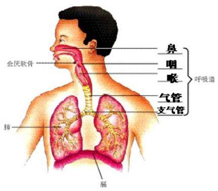 江苏新冠肺炎最新动态,变化中的学习,信心与力量的源泉