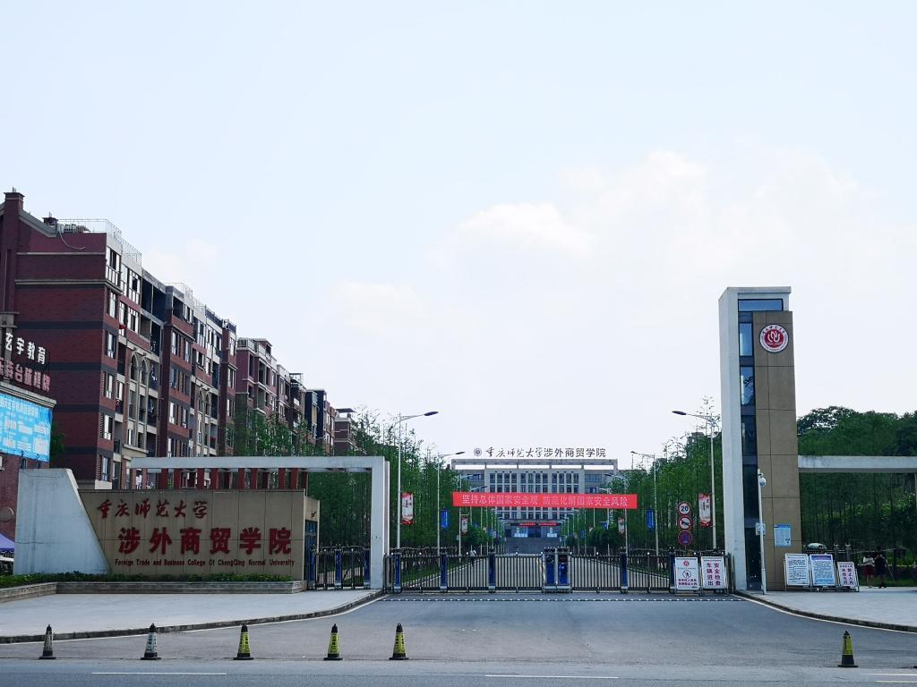 最新本科专业探秘，小巷中的隐藏宝藏之门