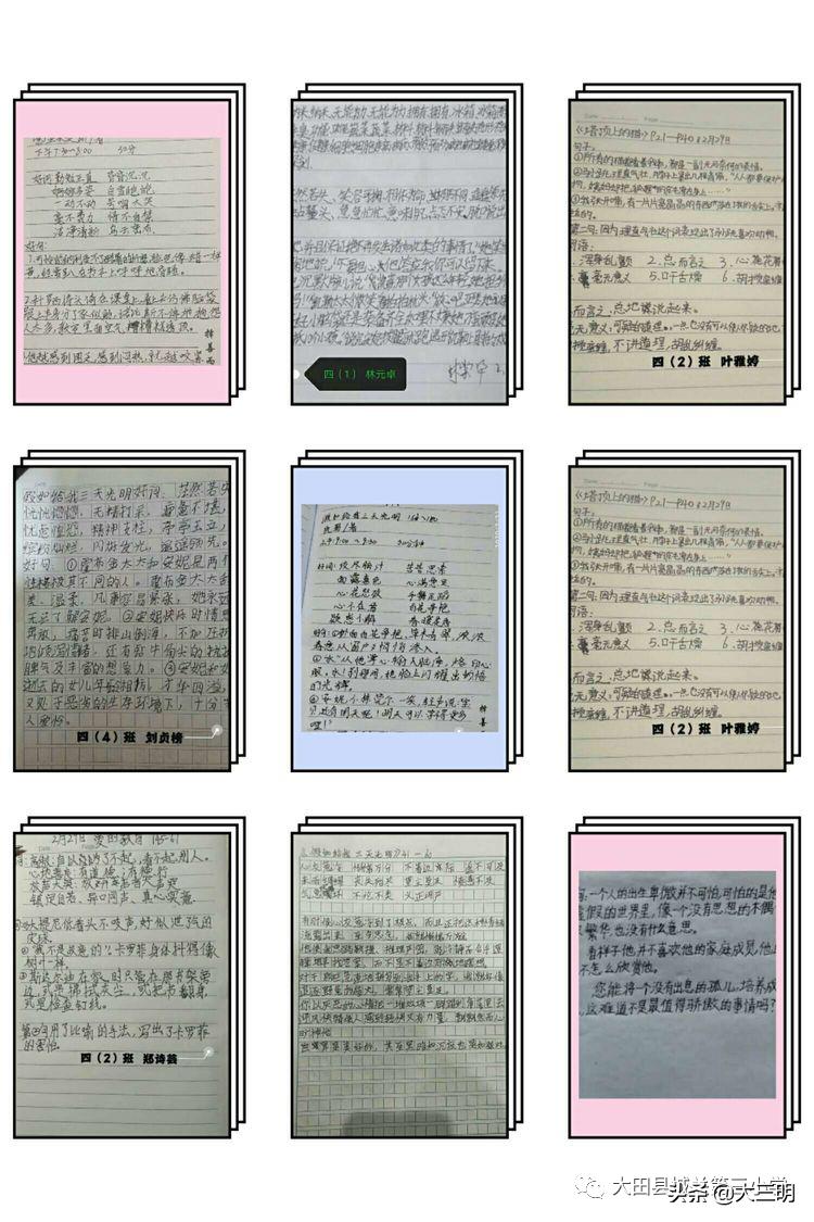 大田疫情实时更新,最新数据消息与动态速览