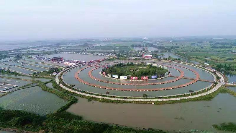中国国际战略最新解析与展望