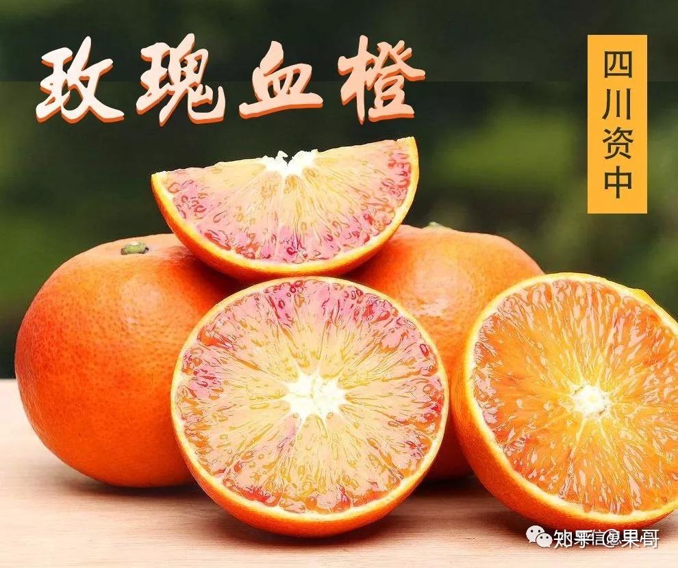 资中血橙,种植、管理与销售全攻略的最新消息