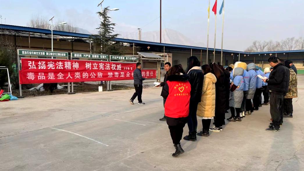 临洮最新诈骗案揭秘,神秘小巷背后的故事