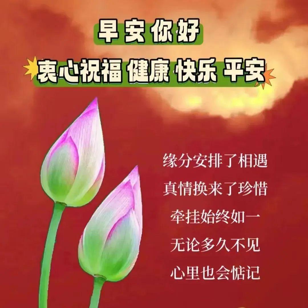 祝福快乐图片最新精选,快乐瞬间,温馨传递