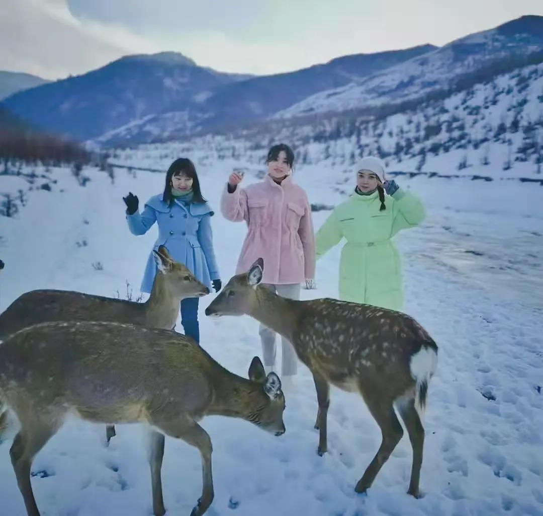 小信的世界最新科技前沿产品亮相,生活变革从此刻启程