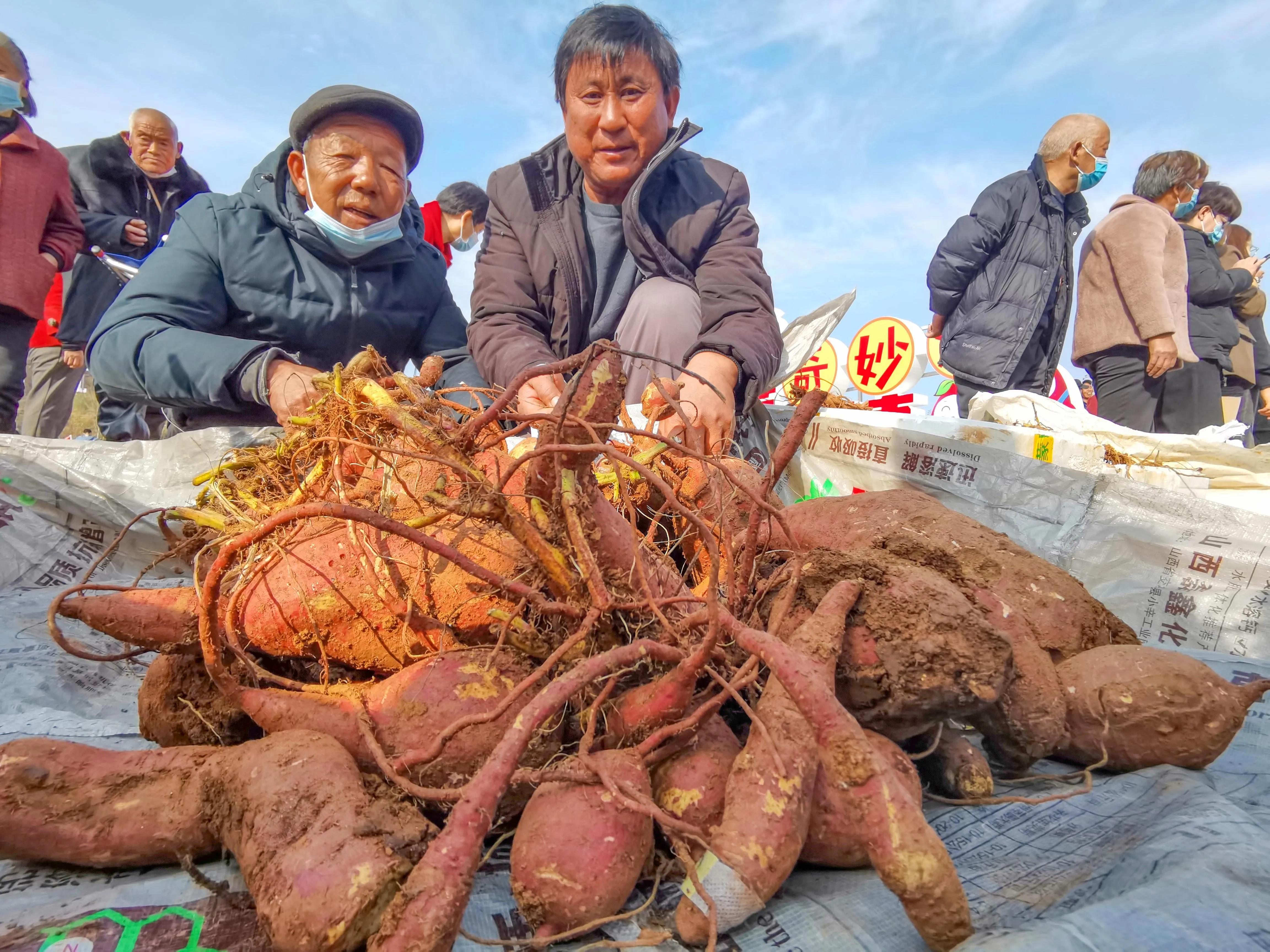 最新乡村文创,背景、发展与时代地位深度解析
