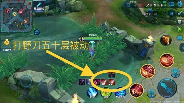 英雄联盟最新打野bug揭秘,一段野区的温馨冒险之旅